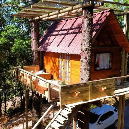 Casa Na Arvore Com Hidro, Piscina, Trilha, Cavalo Bento Gonçalves Buitenkant foto