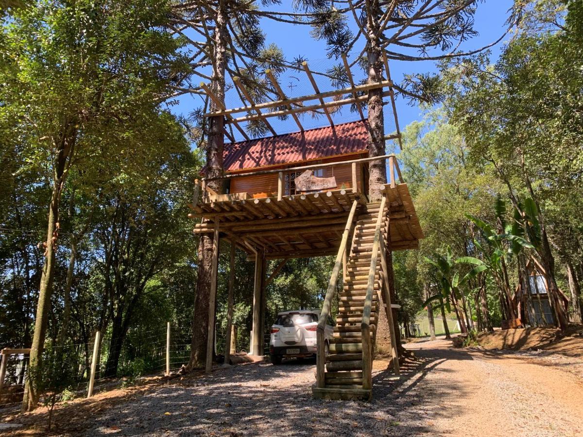 Casa Na Arvore Com Hidro, Piscina, Trilha, Cavalo Bento Gonçalves Buitenkant foto