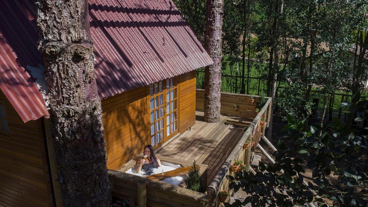 Casa Na Arvore Com Hidro, Piscina, Trilha, Cavalo Bento Gonçalves Buitenkant foto