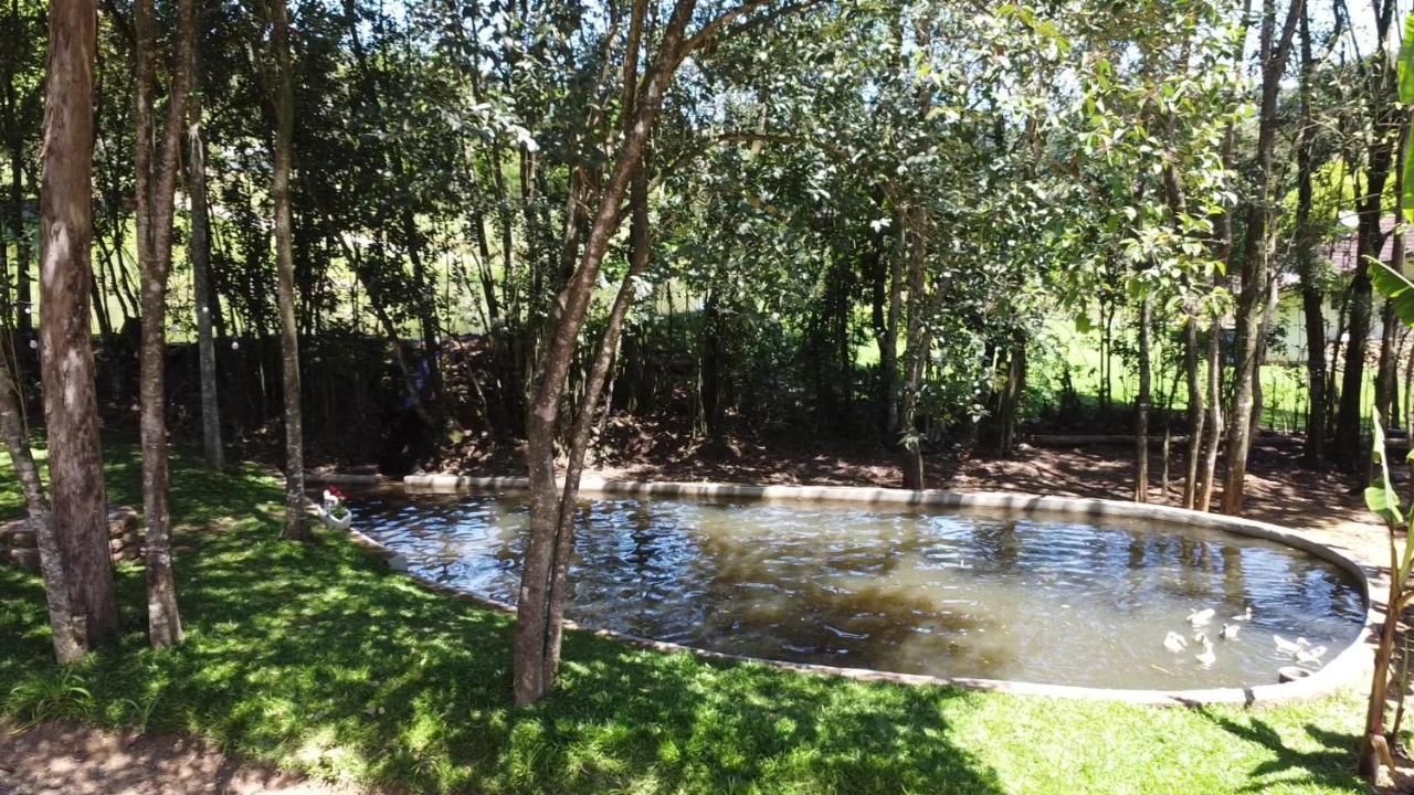 Casa Na Arvore Com Hidro, Piscina, Trilha, Cavalo Bento Gonçalves Buitenkant foto