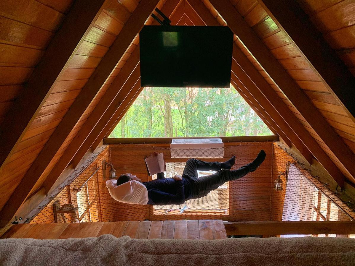 Casa Na Arvore Com Hidro, Piscina, Trilha, Cavalo Bento Gonçalves Buitenkant foto