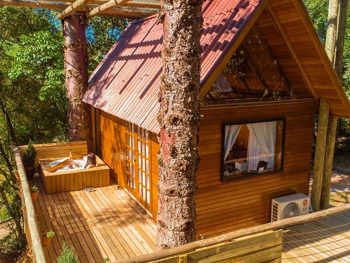 Casa Na Arvore Com Hidro, Piscina, Trilha, Cavalo Bento Gonçalves Buitenkant foto