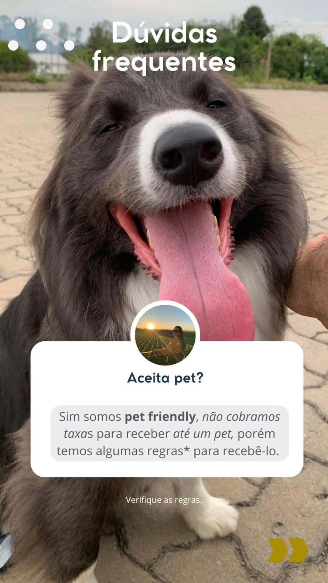 Casa Na Arvore Com Hidro, Piscina, Trilha, Cavalo Bento Gonçalves Buitenkant foto