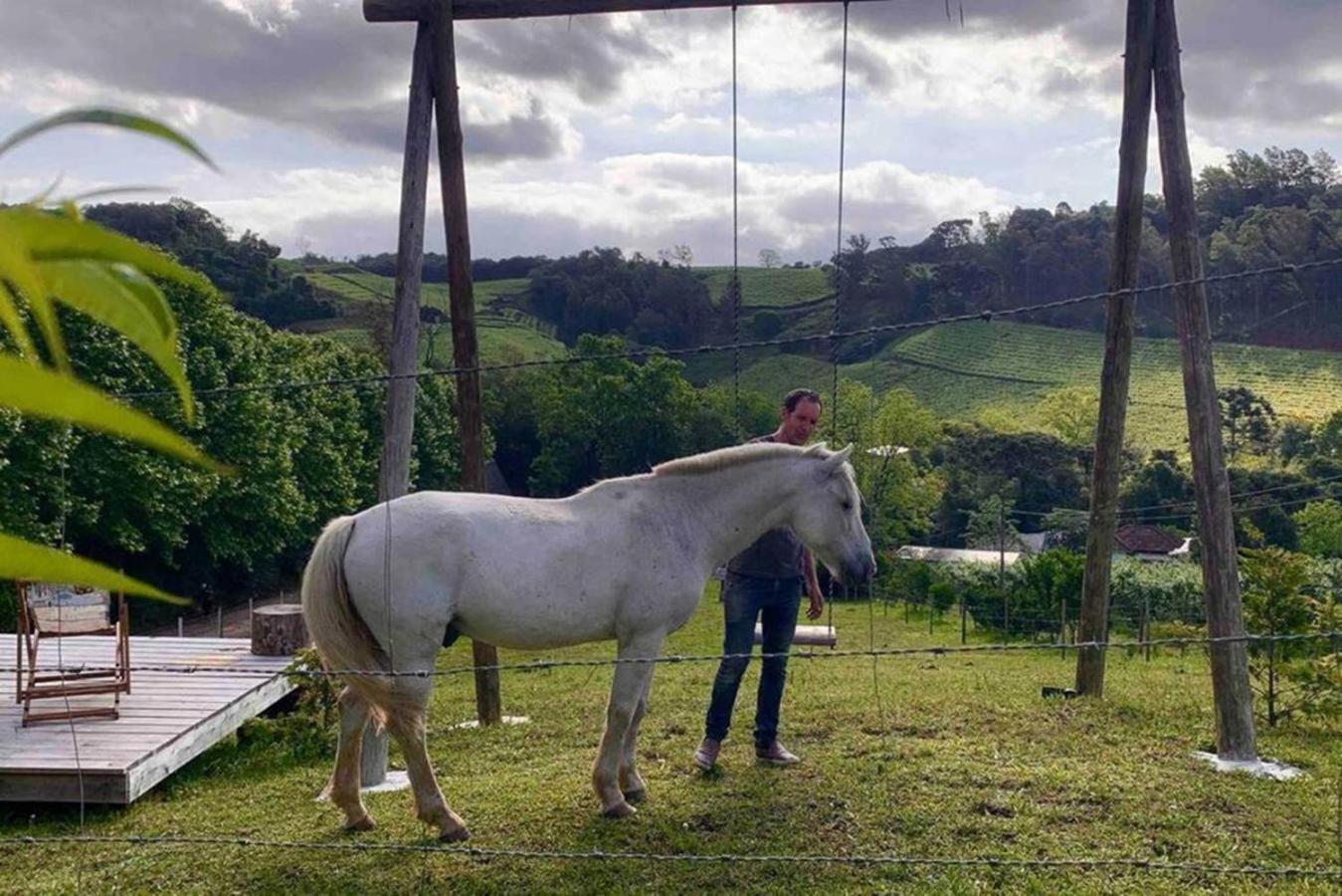 Casa Na Arvore Com Hidro, Piscina, Trilha, Cavalo Bento Gonçalves Buitenkant foto