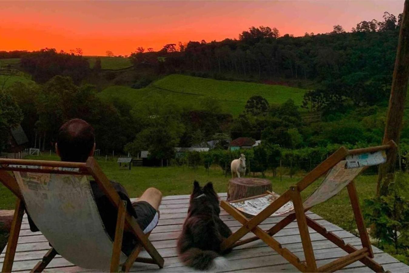 Casa Na Arvore Com Hidro, Piscina, Trilha, Cavalo Bento Gonçalves Buitenkant foto
