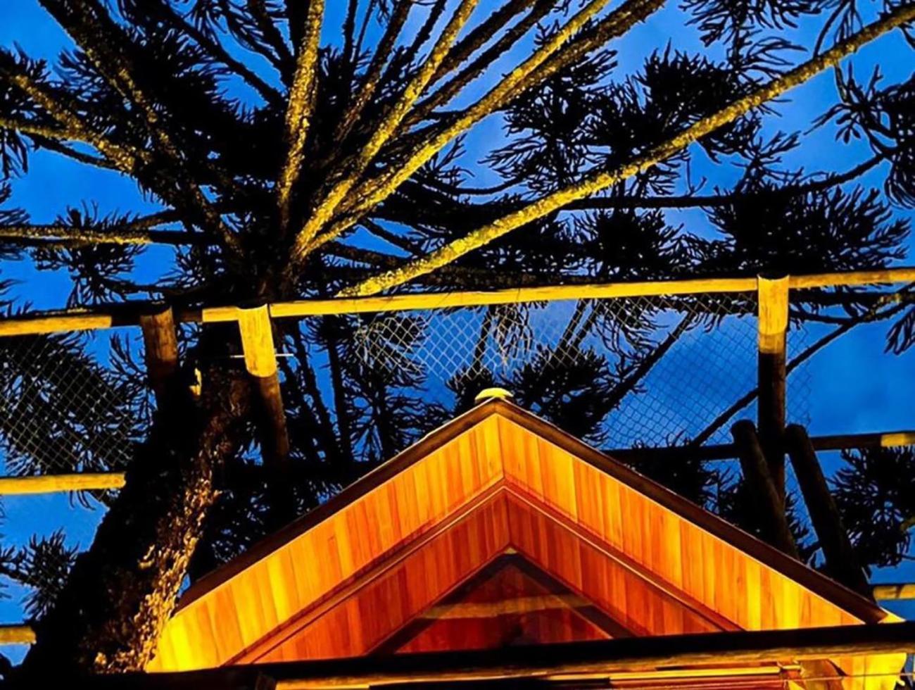 Casa Na Arvore Com Hidro, Piscina, Trilha, Cavalo Bento Gonçalves Buitenkant foto